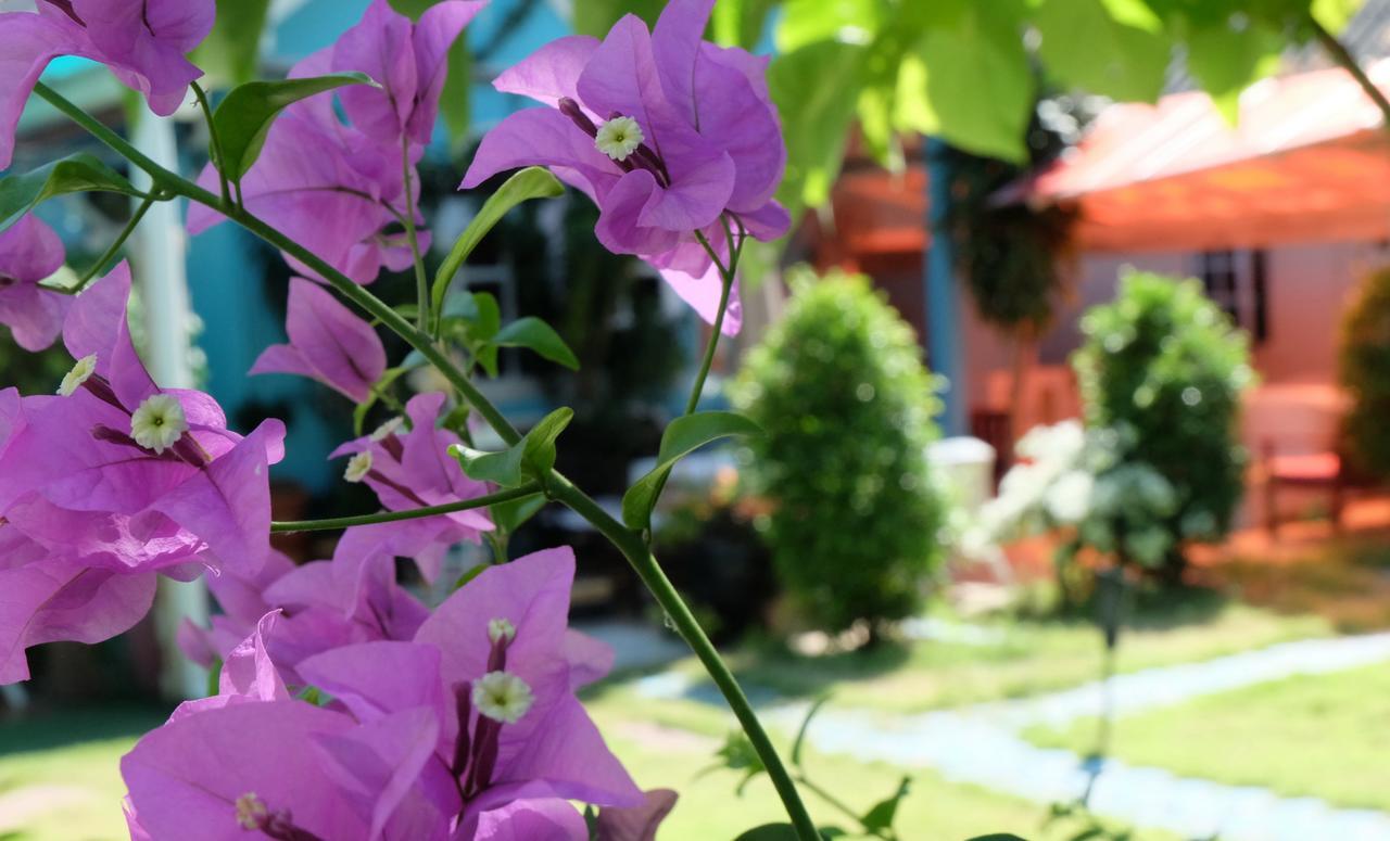 Blue Paradise Residence Rawai المظهر الخارجي الصورة